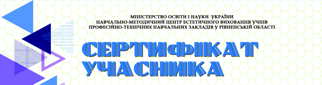 Відбувся семінар з керівниками євроклубів закладів професійної (професійно-технічної) освіти